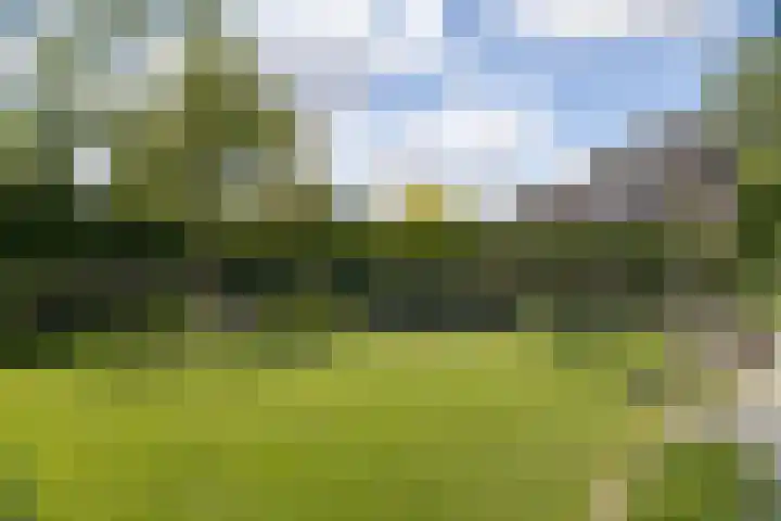 Burg. Crommelinlaan 37 Diepenveen thumbnail 44