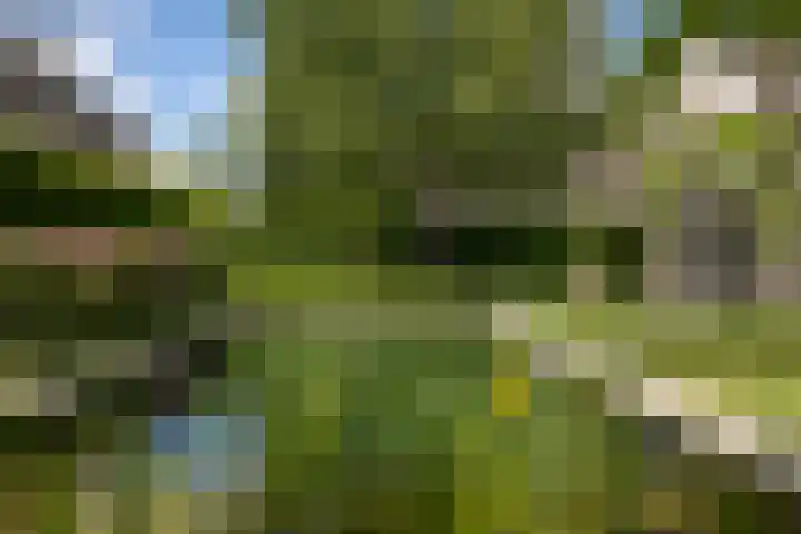 Burg. Crommelinlaan 37 Diepenveen thumbnail 45
