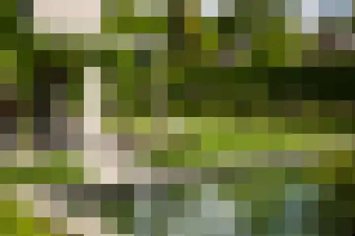 Burg. Crommelinlaan 37 Diepenveen thumbnail 47