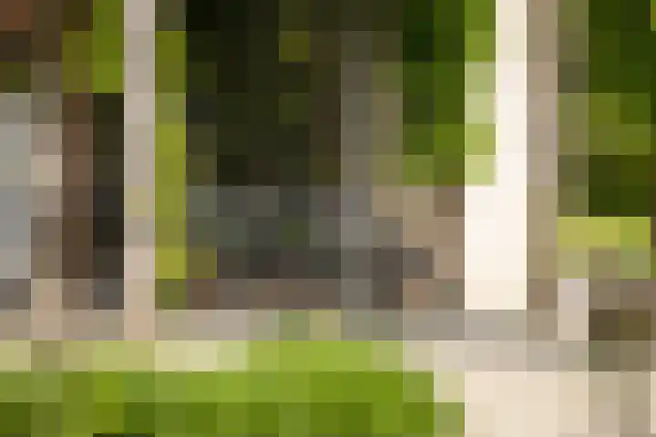 Burg. Crommelinlaan 37 Diepenveen thumbnail 48