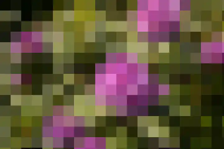 Burg. Crommelinlaan 37 Diepenveen thumbnail 49