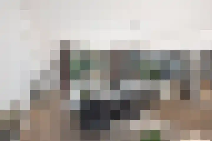 Burg. Crommelinlaan 37 Diepenveen thumbnail 5