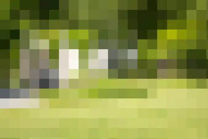 Burg. Crommelinlaan 37 Diepenveen thumbnail 50