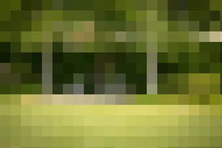 Burg. Crommelinlaan 37 Diepenveen thumbnail 51