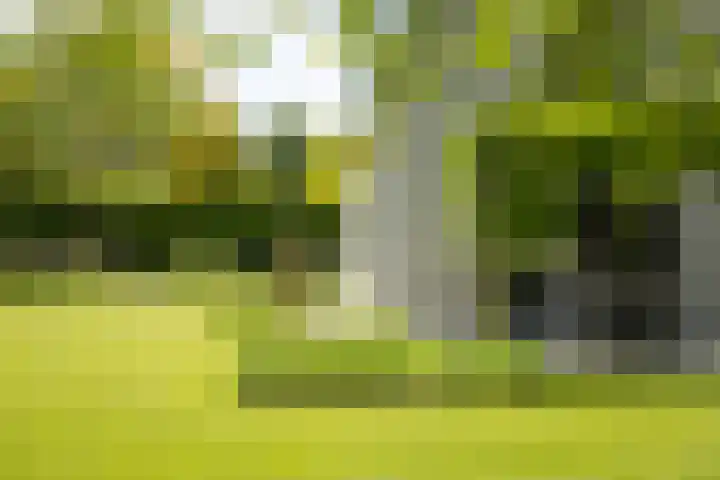 Burg. Crommelinlaan 37 Diepenveen thumbnail 53