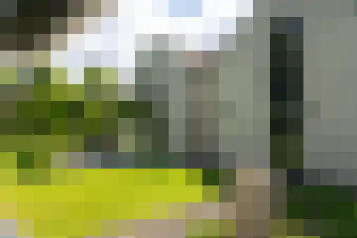 Burg. Crommelinlaan 37 Diepenveen thumbnail 54