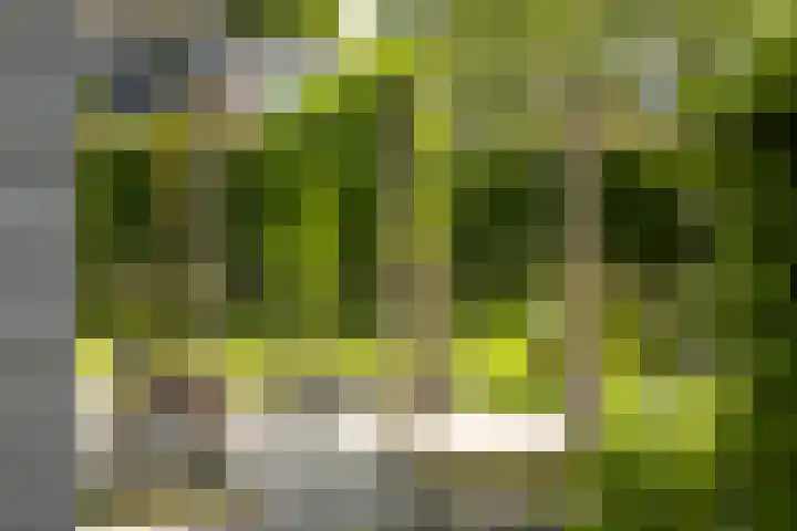 Burg. Crommelinlaan 37 Diepenveen thumbnail 55