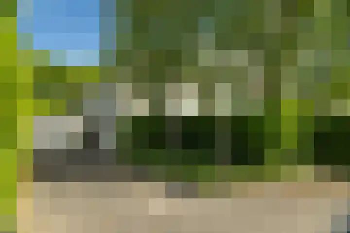 Burg. Crommelinlaan 37 Diepenveen thumbnail 56