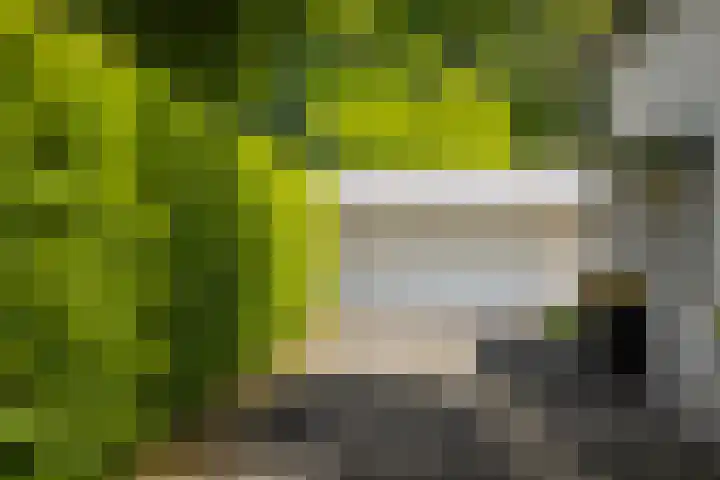 Burg. Crommelinlaan 37 Diepenveen thumbnail 57