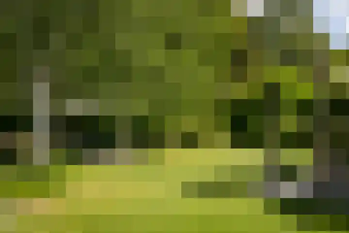 Burg. Crommelinlaan 37 Diepenveen thumbnail 58