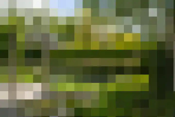 Burg. Crommelinlaan 37 Diepenveen thumbnail 59