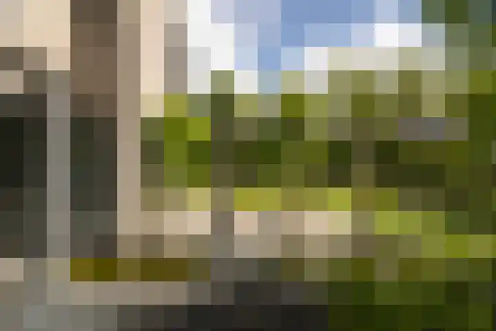 Burg. Crommelinlaan 37 Diepenveen thumbnail 60