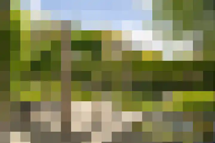 Burg. Crommelinlaan 37 Diepenveen thumbnail 61