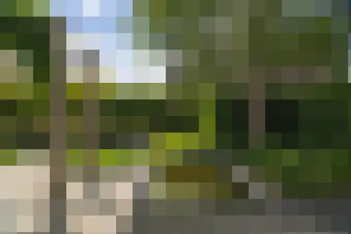 Burg. Crommelinlaan 37 Diepenveen thumbnail 62