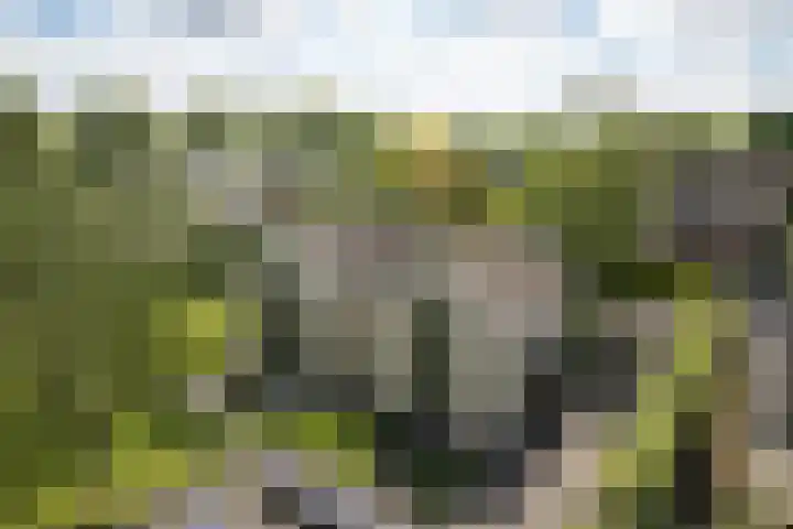Burg. Crommelinlaan 37 Diepenveen thumbnail 63