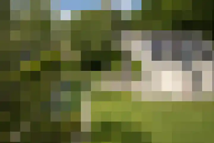 Burg. Crommelinlaan 37 Diepenveen thumbnail 65