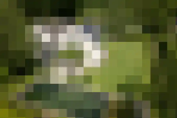 Burg. Crommelinlaan 37 Diepenveen thumbnail 72