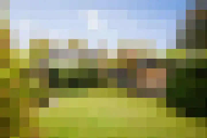 Burg. Crommelinlaan 55 Diepenveen thumbnail 14