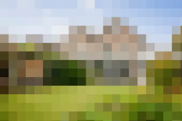 Burg. Crommelinlaan 55 Diepenveen thumbnail 15