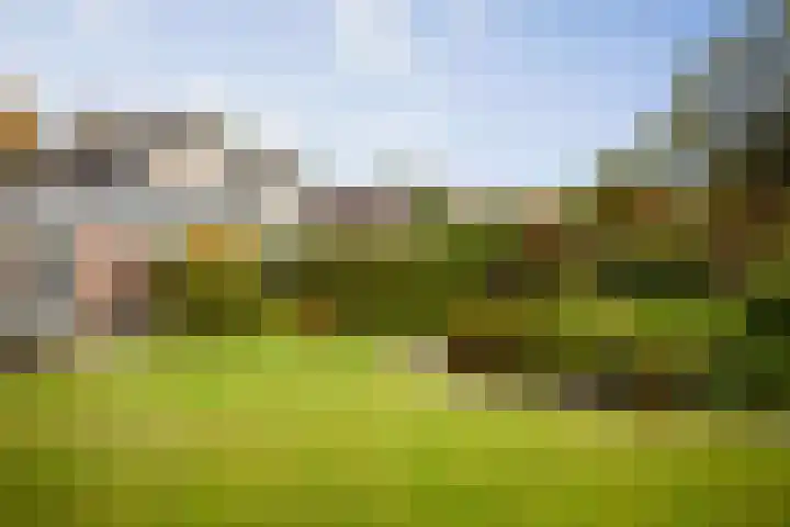 Burg. Crommelinlaan 55 Diepenveen thumbnail 16
