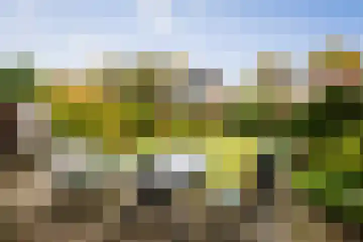 Burg. Crommelinlaan 55 Diepenveen thumbnail 17