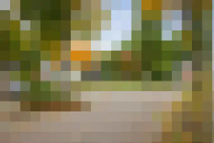 Burg. Crommelinlaan 55 Diepenveen thumbnail 32