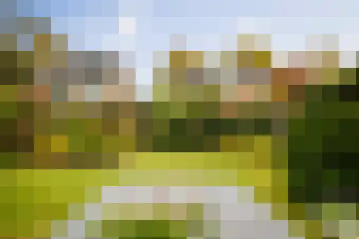 Burg. Crommelinlaan 55 Diepenveen thumbnail 4