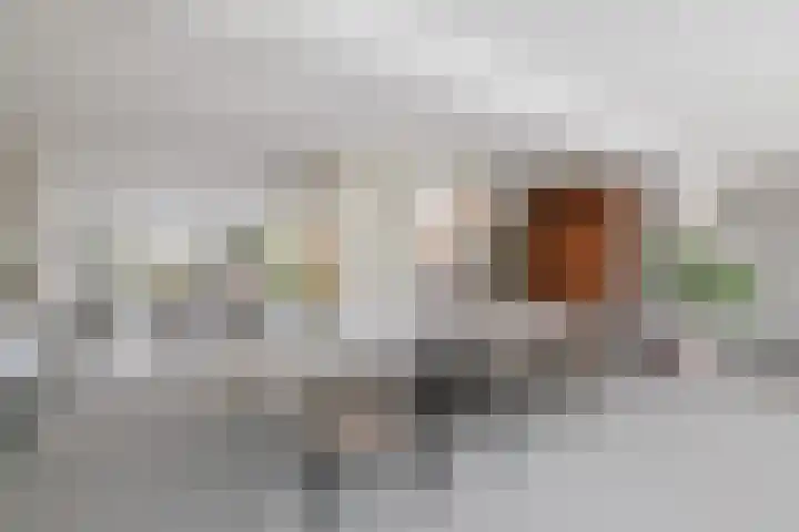 Burg. Crommelinlaan 59 Diepenveen thumbnail 10