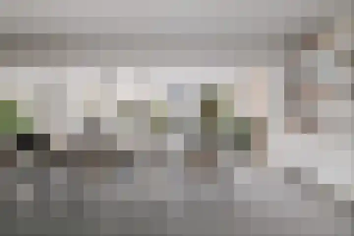 Burg. Crommelinlaan 59 Diepenveen thumbnail 15