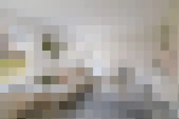 Burg. Crommelinlaan 59 Diepenveen thumbnail 4