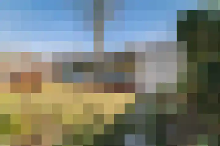 Burg. Crommelinlaan 59 Diepenveen thumbnail 46