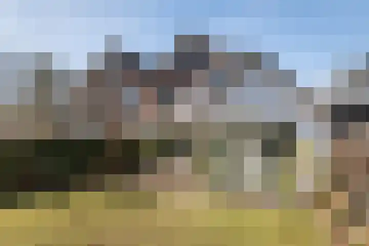 Burg. Crommelinlaan 59 Diepenveen thumbnail 48