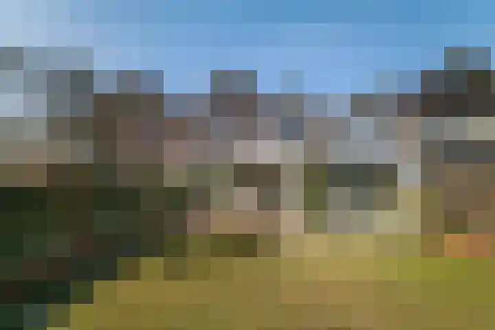 Burg. Crommelinlaan 59 Diepenveen thumbnail 49