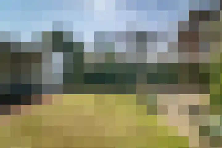Burg. Crommelinlaan 59 Diepenveen thumbnail 50