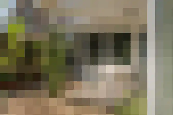 Burg. Crommelinlaan 59 Diepenveen thumbnail 51