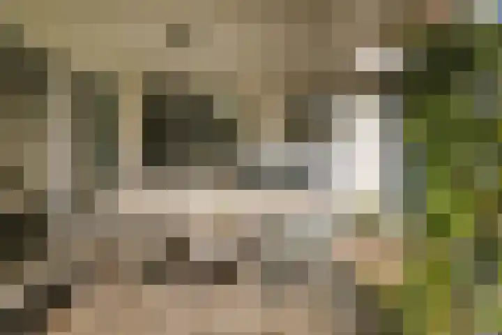 Burg. Crommelinlaan 59 Diepenveen thumbnail 52