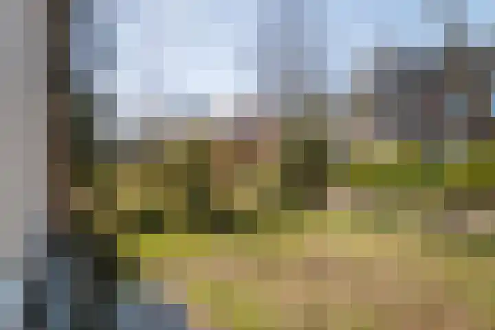 Burg. Crommelinlaan 59 Diepenveen thumbnail 56