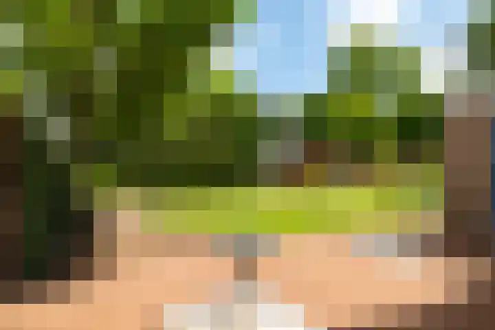 Burg. Crommelinlaan 61 Diepenveen thumbnail 27