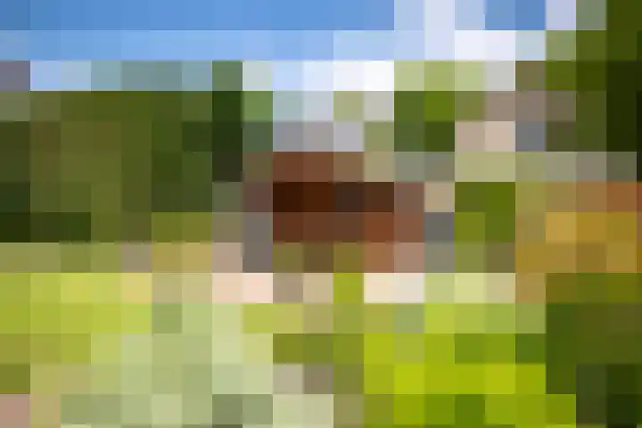 Burg. Crommelinlaan 61 Diepenveen thumbnail 28