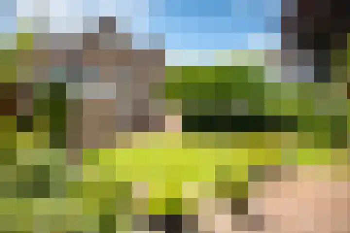 Burg. Crommelinlaan 61 Diepenveen thumbnail 29