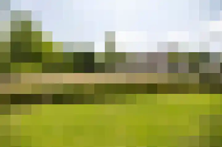 Burg. Crommelinlaan 61 Diepenveen thumbnail 31