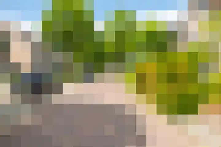 Burg. Crommelinlaan 61 Diepenveen thumbnail 32