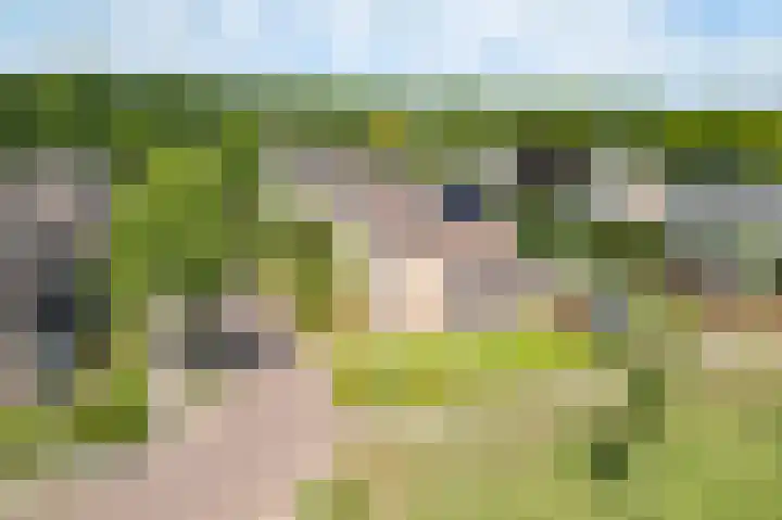 Burg. Crommelinlaan 61 Diepenveen thumbnail 35