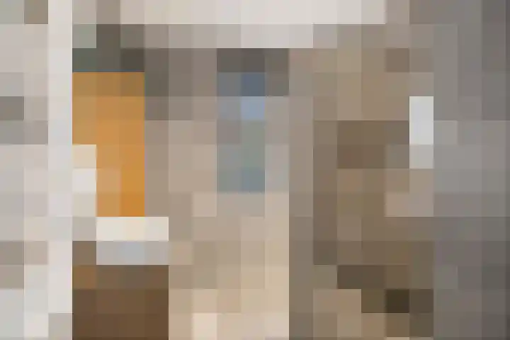 Burg. Crommelinlaan 71 Diepenveen thumbnail 18