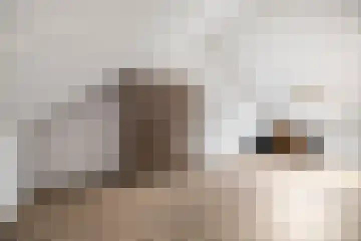 Burg. Crommelinlaan 71 Diepenveen thumbnail 22