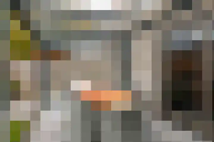 Burg. Crommelinlaan 71 Diepenveen thumbnail 26