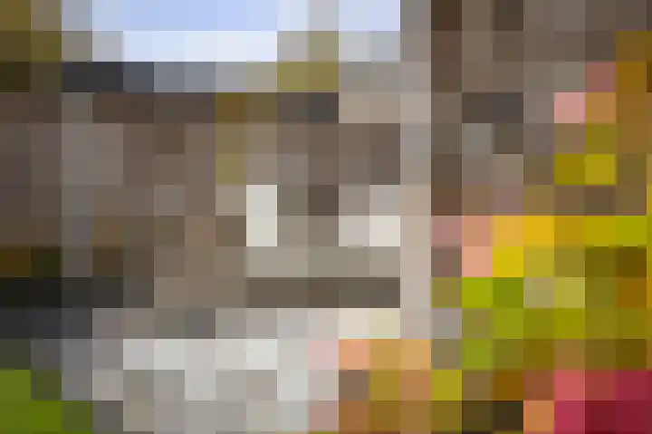 Burg. Crommelinlaan 71 Diepenveen thumbnail 29
