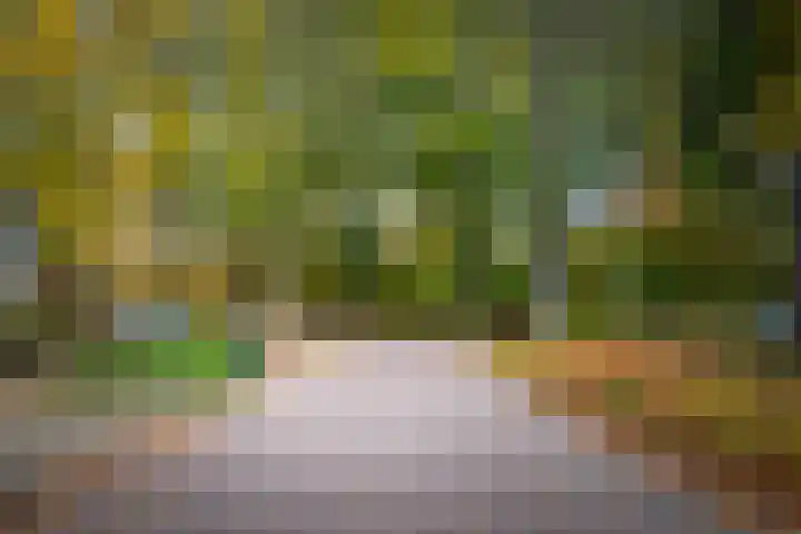 Burg. Crommelinlaan 71 Diepenveen thumbnail 33