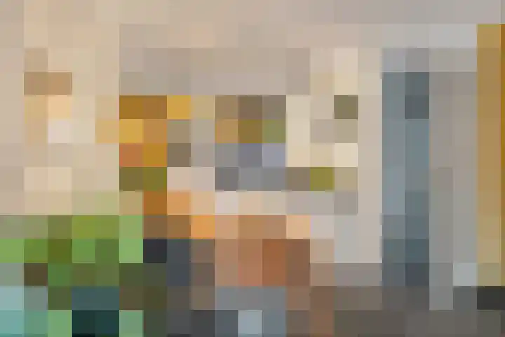 Burg. Crommelinlaan 71 Diepenveen thumbnail 8