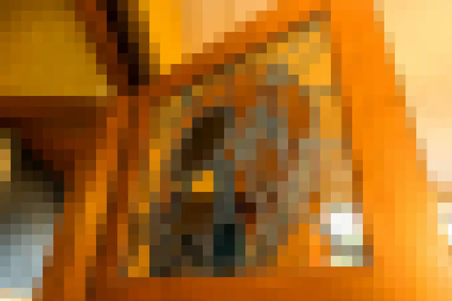 Burg. de Hesselleplein 29 Heerlen thumbnail 13
